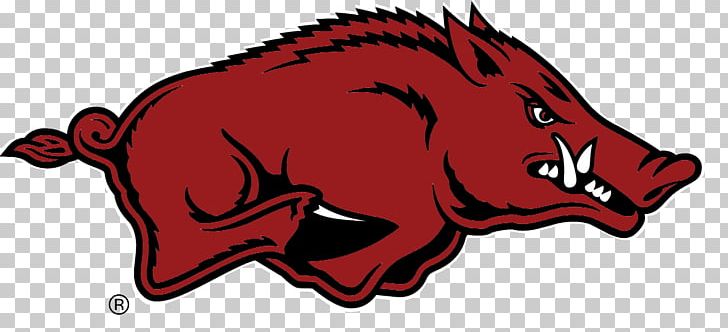 University Of Arkansas Arkansas Razorbacks Men's Basketball Arkansas Razorbacks Football Arkansas Razorbacks Women's Gymnastics Arkansas Razorbacks Women's Basketball PNG, Clipart,  Free PNG Download