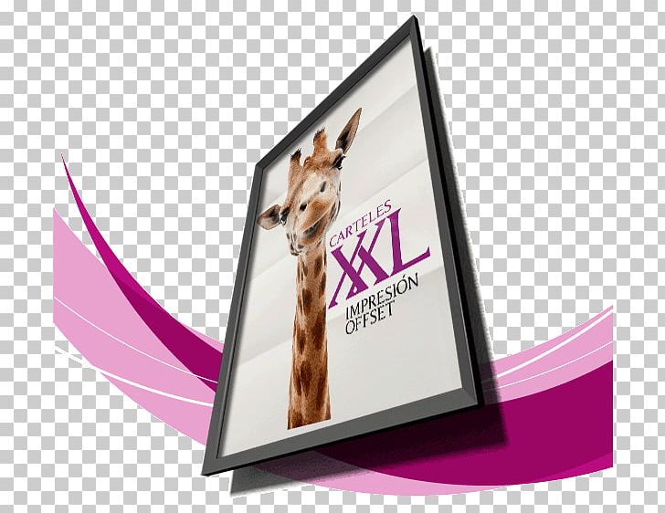 Offset Printing Poster Product Digital Printing PNG, Clipart, Advertising, Brand, Cost, Digital Printing, Display Advertising Free PNG Download