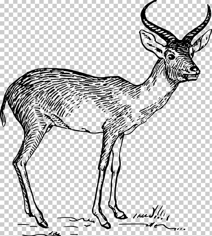 Antelope Pronghorn Gazelle PNG, Clipart, Animal Figure, Animals, Antelope, Antler, Black And White Free PNG Download