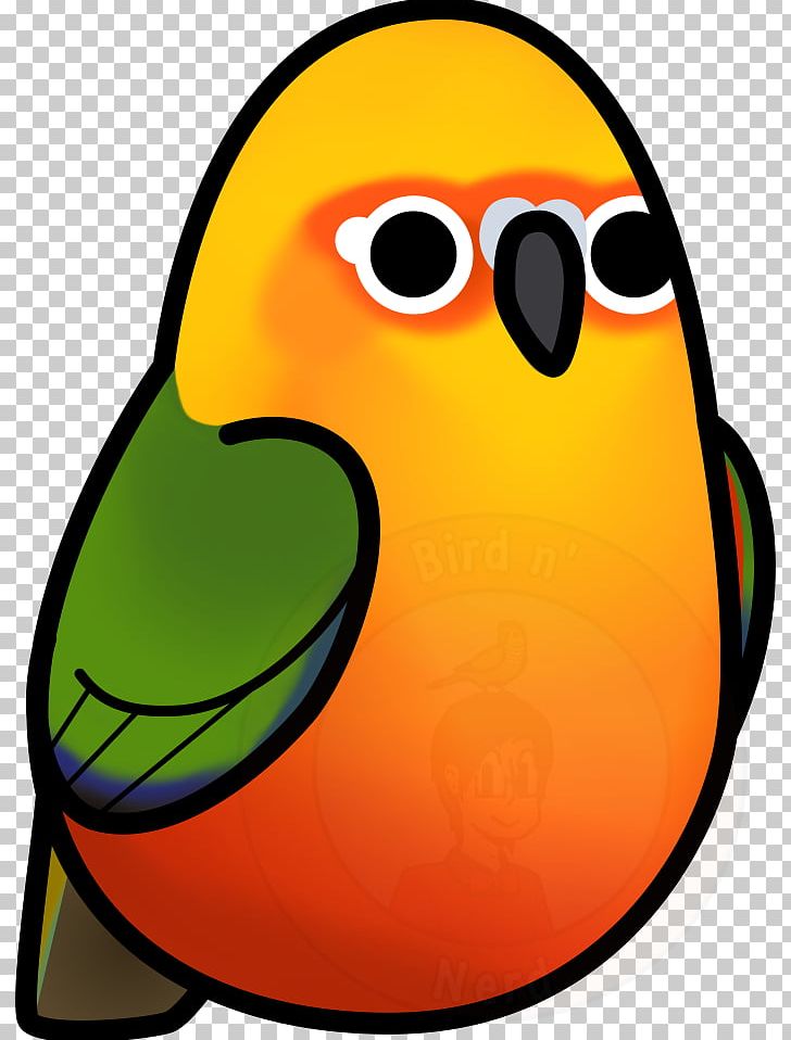 Conure Bird Jandaya Parakeet Green-cheeked Parakeet PNG, Clipart, Animals, Beak, Bird, Bluecrowned Parakeet, Conure Free PNG Download