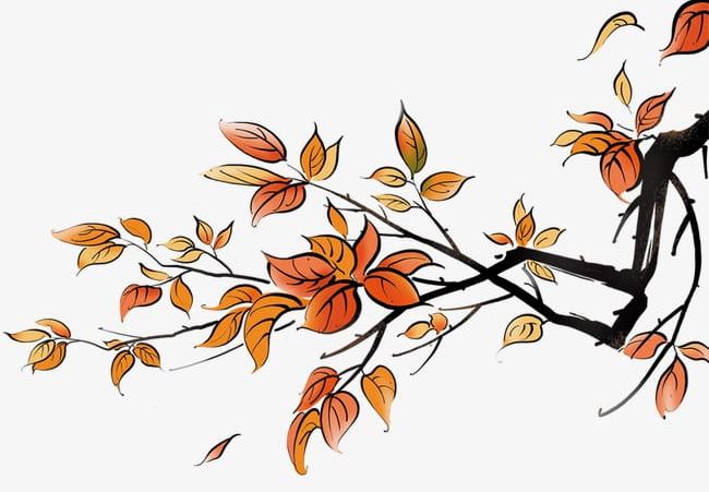 Autumn Leaves PNG, Clipart, Autumn Clipart, Deadwood, Defoliation, Fall, Leaves Free PNG Download