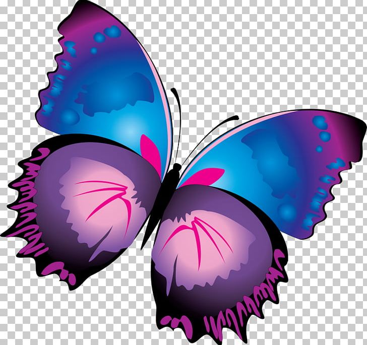 Butterfly Purple PNG, Clipart, Art, Beautiful Clipart, Blue, Brush Footed Butterfly, Butterfly Free PNG Download