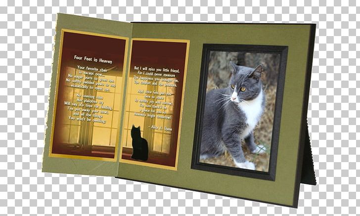 Cat Pet Heaven Funeral Home Inc A Sweet Remembrance Animal Loss PNG, Clipart, Advertising, Animal Loss, Animals, Cat, Cat Like Mammal Free PNG Download