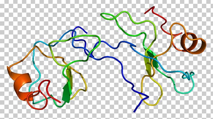 CCL3 CC Chemokine Receptors Macrophage Inflammatory Protein CCL5 PNG, Clipart, Area, B 50, Cc Chemokine Receptors, Ccl, Ccl2 Free PNG Download