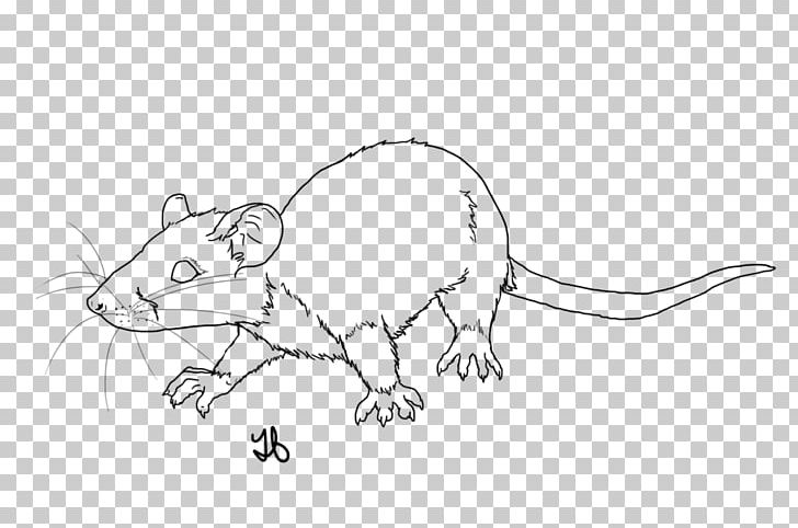 Rat Mouse Line Art Whiskers Sketch PNG, Clipart, Animal, Animal Figure, Animals, Art, Carnivoran Free PNG Download