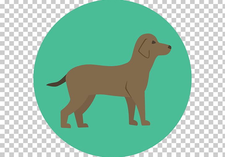 French Bulldog Computer Icons Pet Siberian Husky PNG, Clipart, Animal, Animals, Breed, Bulldog, Carnivoran Free PNG Download