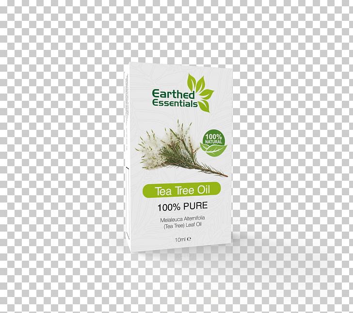 Hemp Superfood Herb Plant Cannabis PNG, Clipart, 100 Natural, Cannabis, Hemp, Herb, Herbal Free PNG Download