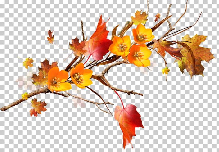 Maple Leaf Twig Flower PNG, Clipart, Autumn, Branch, Computer Wallpaper, Deciduous, Floral Design Free PNG Download