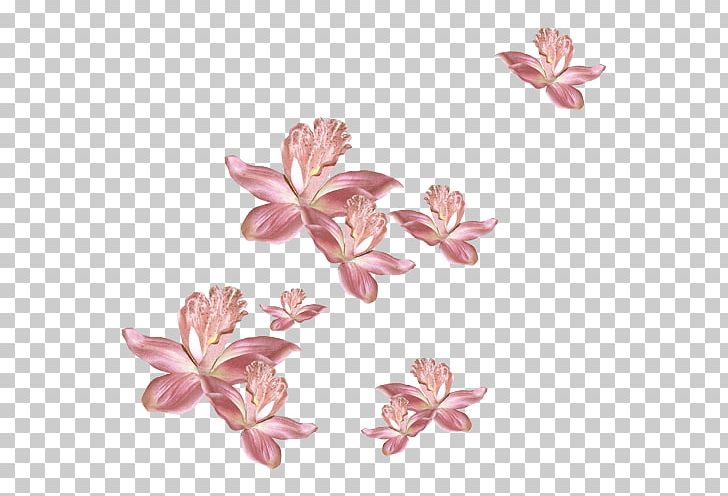 Flower Pink Petal Garden Roses Animation PNG, Clipart, Animation, Blossom, Cherry Blossom, Flora, Flower Free PNG Download