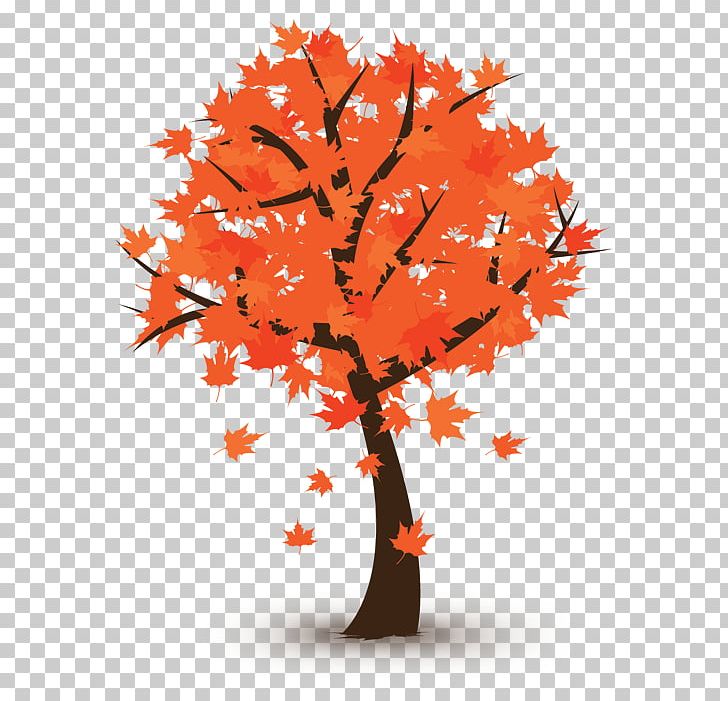 Graphics Autumn Stock Photography PNG, Clipart, Autumn, Branch, Drawing, Flowering Plant, Leaf Free PNG Download