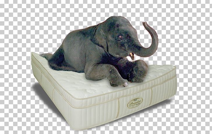 Mattress Bedroom Furniture Sets Indian Elephant Headboard PNG, Clipart, Bed, Bedding, Bedroom, Bedroom Furniture Sets, Comfort Free PNG Download