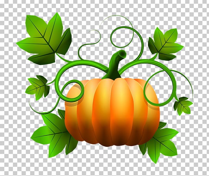 Pumpkin Calabaza Gourd Food PNG, Clipart, Calabaza, Commodity, Cucumber Gourd And Melon Family, Cucurbita, Diet Food Free PNG Download