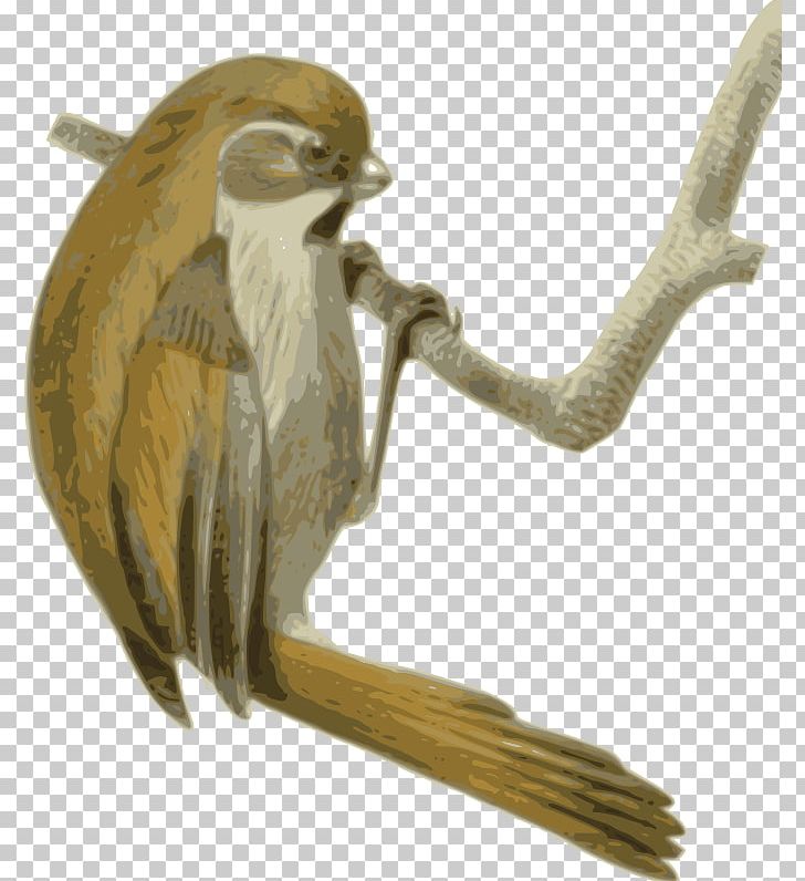 Golden Parrotbill Songbird Neognathae PNG, Clipart, Beak, Bird, Bird Of Prey, Computer Icons, Fauna Free PNG Download