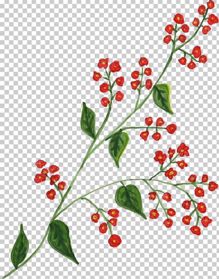 Flower Microsoft Paint PNG, Clipart, Branch, Computer Graphics, Cut Flowers, Download, File Size Free PNG Download