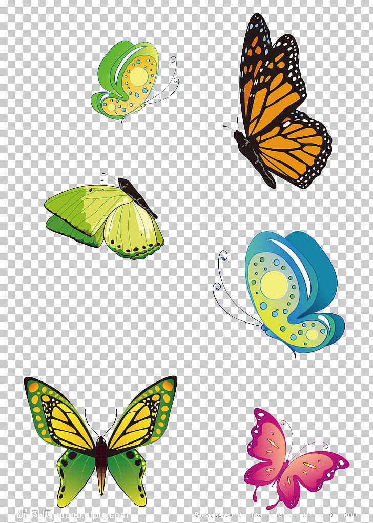 Monarch Butterfly PNG, Clipart, Animation, Blue Butterfly, Brush Footed Butterfly, Butterflies, Butterfly Free PNG Download