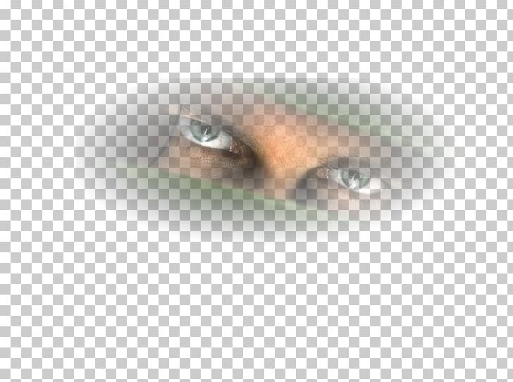 Eyelash Extensions Close-up PNG, Clipart, Art, Artificial Hair Integrations, Closeup, Closeup, Dsn Free PNG Download