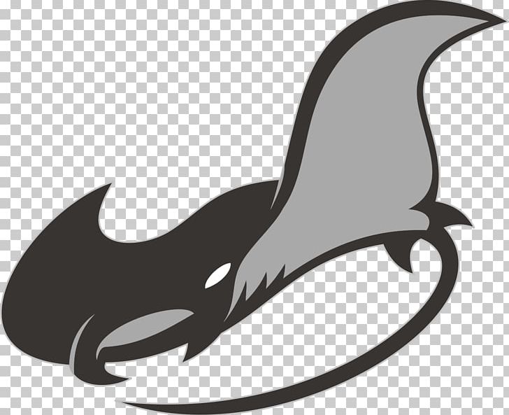 Giant Oceanic Manta Ray Batoidea PNG, Clipart, Animal, Art, Beak, Bird, Black And White Free PNG Download