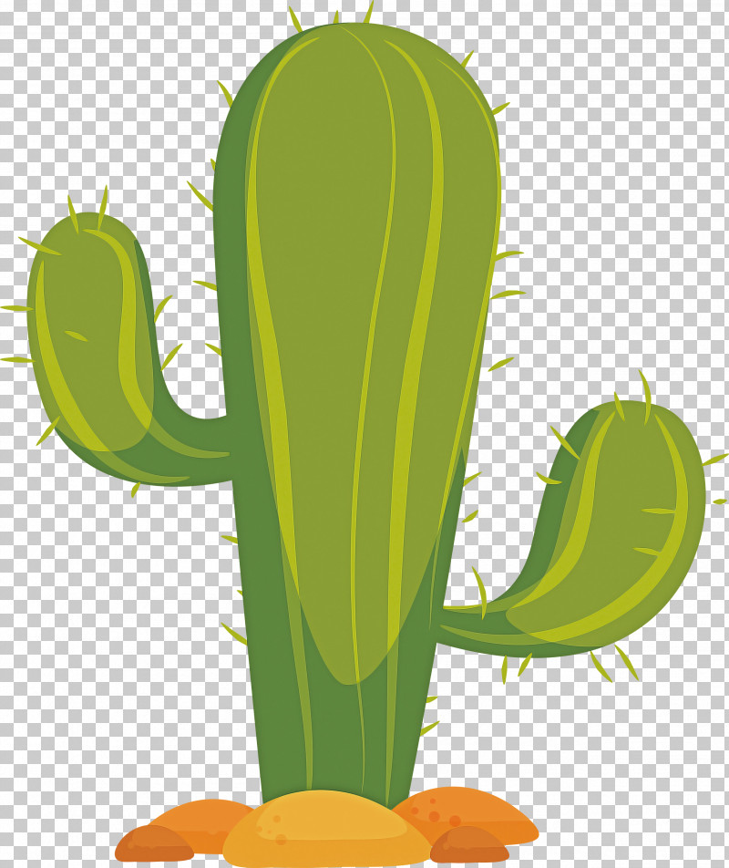 Cactus PNG, Clipart, Android, Cactus, Flower, Flowerpot, Palm Springs Free PNG Download
