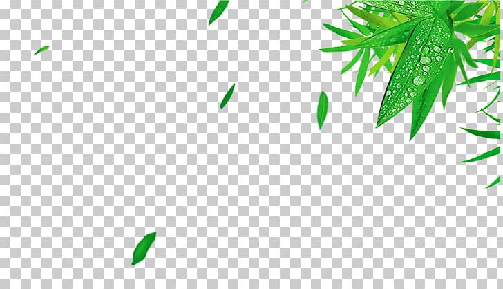 Bamboo Leaf Green PNG, Clipart, Bamboo, Bamboo Leaves, Branch, Brand, Computer Wallpaper Free PNG Download