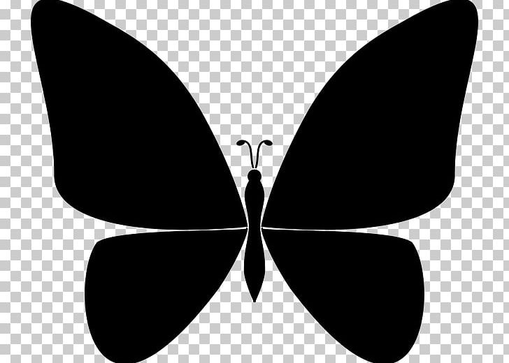Brush-footed Butterflies Butterfly Moth Insect PNG, Clipart, Arthropod, Black, Black And White, Brush Footed Butterfly, Butterflies And Moths Free PNG Download
