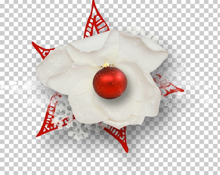 Christmas Ornament Close-up PNG, Clipart, Chilli, Christmas, Christmas Ornament, Closeup, Holidays Free PNG Download
