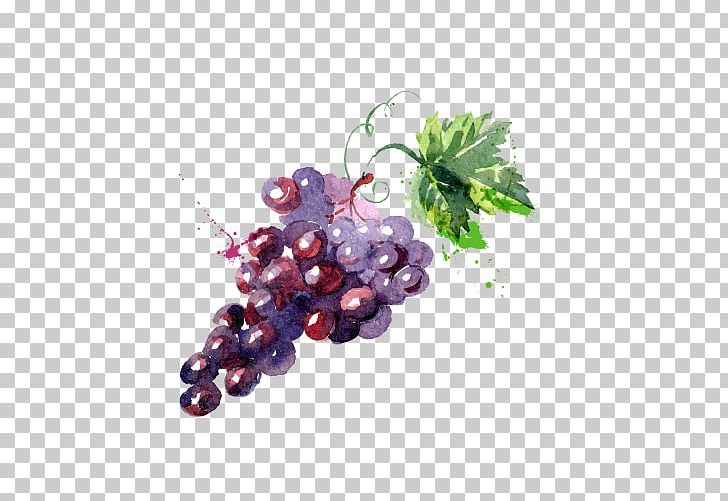 Grape Watercolor Painting Drawing Illustration PNG, Clipart, Encapsulated Postscript, Flowering Plant, Food, Fruit, Grape Leaves Free PNG Download