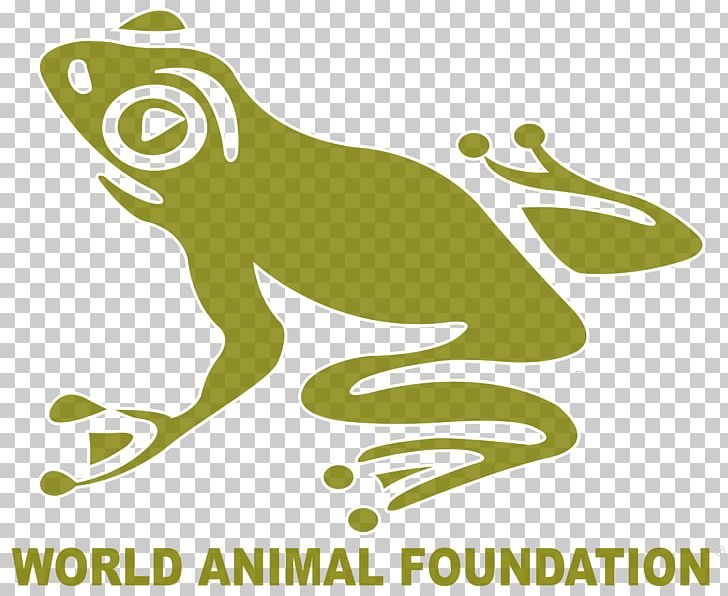 The Animal Foundation Non-profit Organisation Otter Wildlife Conservation PNG, Clipart, Adoption, Amphibian, Animal, Animal Foundation, Charitable Organization Free PNG Download