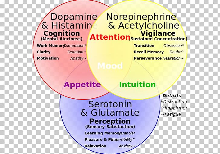 Neurotransmitter Serotonin–norepinephrine–dopamine Reuptake Inhibitor Serotonin–norepinephrine–dopamine Reuptake Inhibitor PNG, Clipart, Area, Brain, Brand, Catecholamine, Circle Free PNG Download