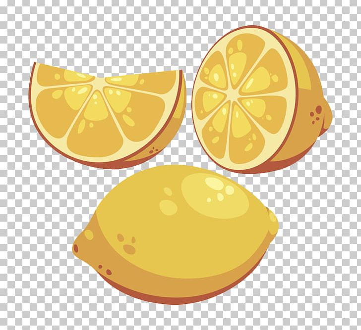 Lemon Citron Drawing Illustration PNG, Clipart, Cartoon, Citric Acid, Citron, Citrus, Citrus Fruit Free PNG Download
