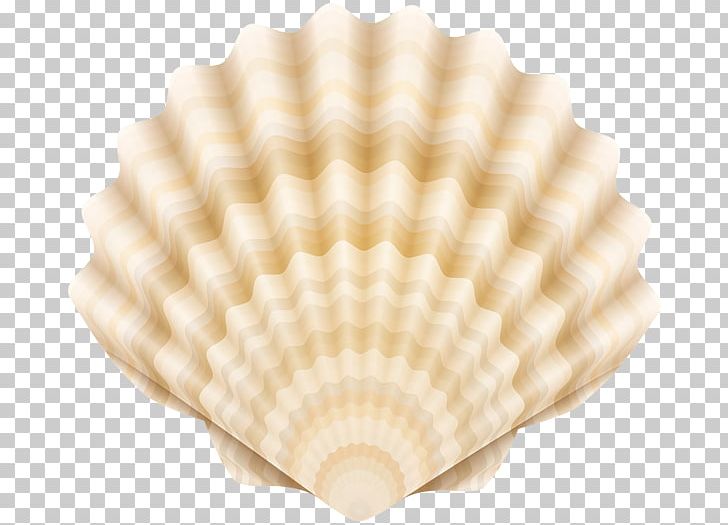 Drawing Cockle PNG, Clipart, Alamy, Clam, Clams Oysters Mussels And Scallops, Cockle, Dishware Free PNG Download