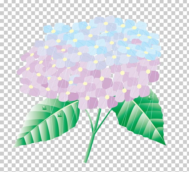 Drawing Illustration PNG, Clipart, Car Wash, Clover, Clover Vector, Drawing, Euclidean Vector Free PNG Download