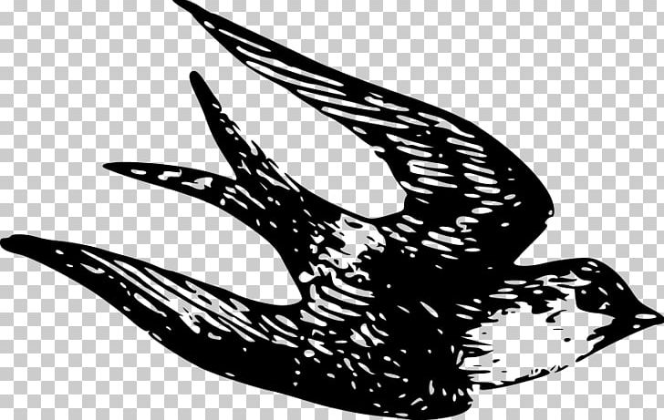 House Sparrow Songbird PNG, Clipart, Animals, Art, Beak, Bird, Black And White Free PNG Download