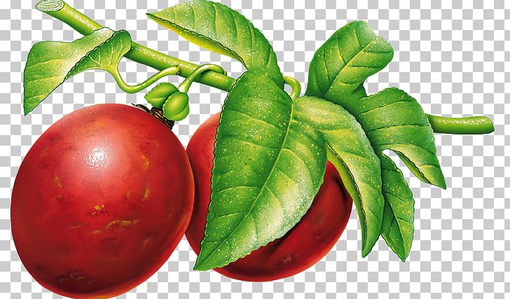 Plum Computer Icons PNG, Clipart, Beet, Bush Tomato, Clip Art, Computer Icons, Diet Food Free PNG Download