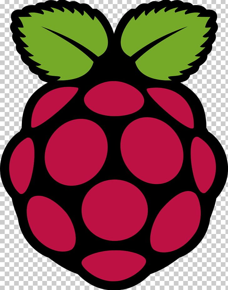 Raspberry Pi Foundation Raspbian Single-board Computer Logo PNG, Clipart, Artwork, Circle, Computer, Computer Program, Computer Software Free PNG Download