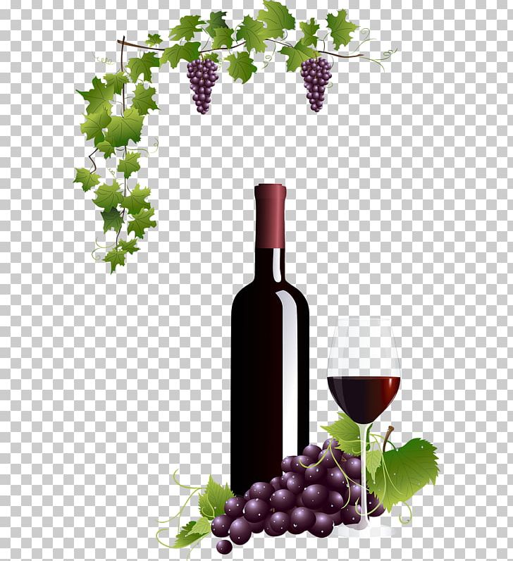 Common Grape Vine Wine Glass Red Wine PNG, Clipart, Barware, Bottle, Common Grape Vine, Drinkware, Food Free PNG Download