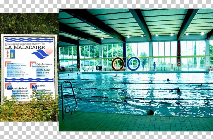 Olympic-size Swimming Pool Communal Pool The Maladaire Hotel Piscine Couverte De L'Ancien Stand PNG, Clipart,  Free PNG Download