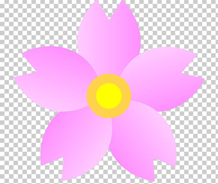 Petal Flower Cherry Blossom PNG, Clipart, Branch, Cherry Blossom, Color Gradient, Download, Floower Free PNG Download