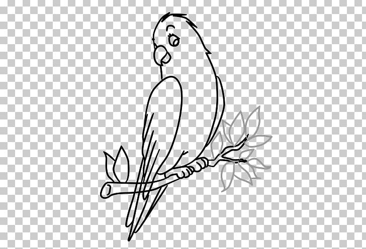 Bird Drawing Tree Art Sketch PNG, Clipart, Animals, Area, Art, Artwork, Beak Free PNG Download