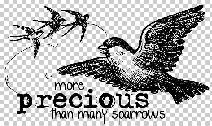 Beak Bird Of Prey Logo Feather PNG, Clipart, Animals, Artwork, Beak, Bird, Bird Of Prey Free PNG Download