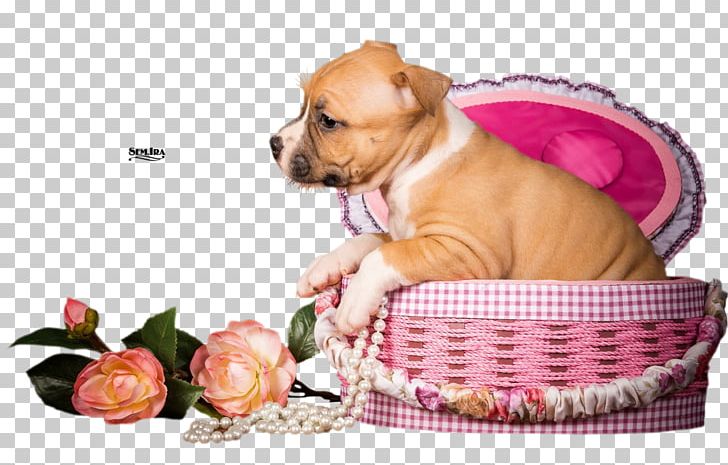 Dog Animation Puppy PNG, Clipart, Animals, Animation, Ansichtkaart, Basket, Canidae Free PNG Download
