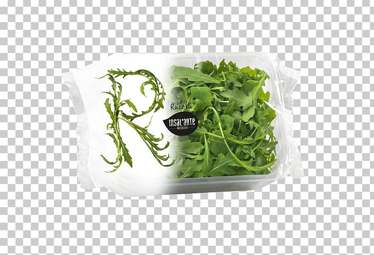 Romaine Lettuce Arugula Salad Vegetable Spinach PNG, Clipart, Arugula, Butterhead Lettuce, Food, Fruit, Herb Free PNG Download