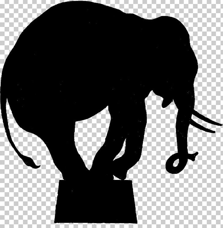 Circus Elephant Silhouette PNG, Clipart, African, Big Cats, Black, Black And White, Carnivoran Free PNG Download