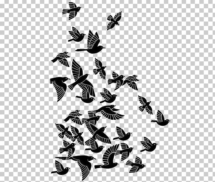 Pigeon PNG, Clipart, Animals, Bit, Black, Black And White, Monochrome Free PNG Download