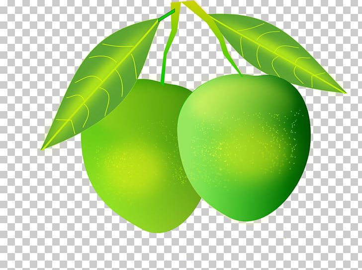 Sharbat Aam Panna Mango PNG, Clipart, Aam Panna, Apple, Avocado, Cdr, Citrus Free PNG Download