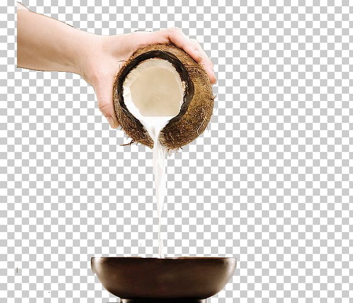 Coconut Milk PNG, Clipart, 1000000, Coconut, Coconut Leaves, Coconut Milk, Coconut Tree Free PNG Download