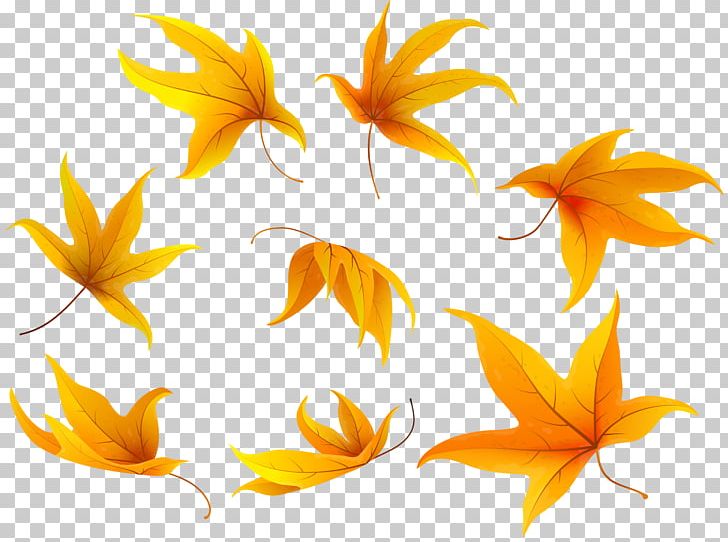 Autumn Leaf Color Portable Network Graphics PNG, Clipart, Autumn, Autumn Leaf Color, Cartoon, Download, Flora Free PNG Download