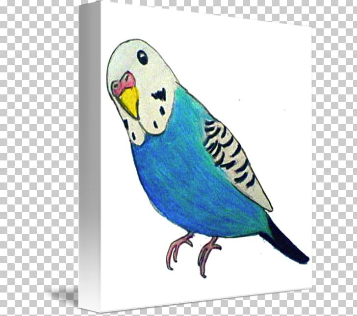 Budgerigar Parrot T-shirt Parakeet Drawing PNG, Clipart, Animals, Aratinga, Bag, Beak, Bird Free PNG Download