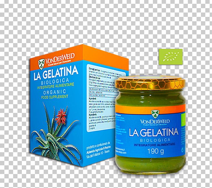 Dietary Supplement Candelabra Aloe Aloe Vera Gelatin Plant PNG, Clipart, Aloe Vera, Condiment, Cream, Dietary Supplement, Eating Free PNG Download