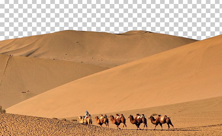Erg Camel Desert Sand PNG, Clipart, Aeolian Landform, Animals, Arabian Camel, Arizona Desert, Asian Dust Free PNG Download