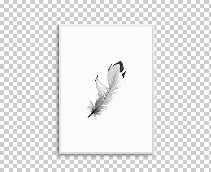 Feather Tail White PNG, Clipart, Bird, Black And White, Feather, Floating Feather, Quill Free PNG Download